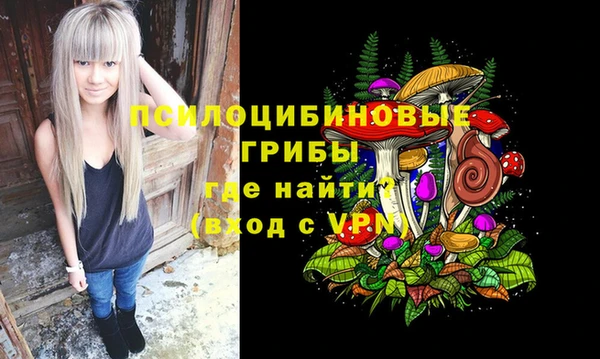 гидропоника Горнозаводск