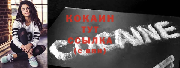 хмурый Вяземский
