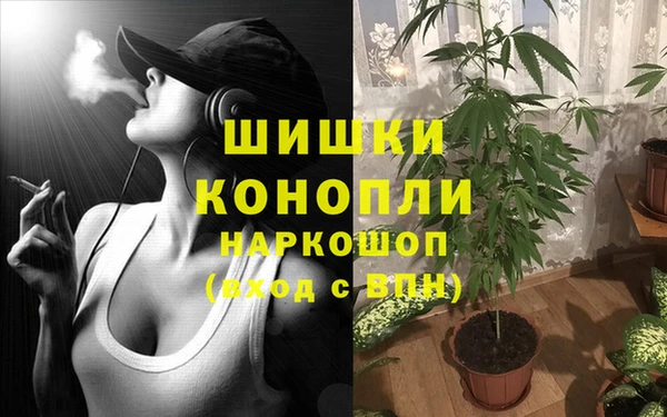 хмурый Вяземский