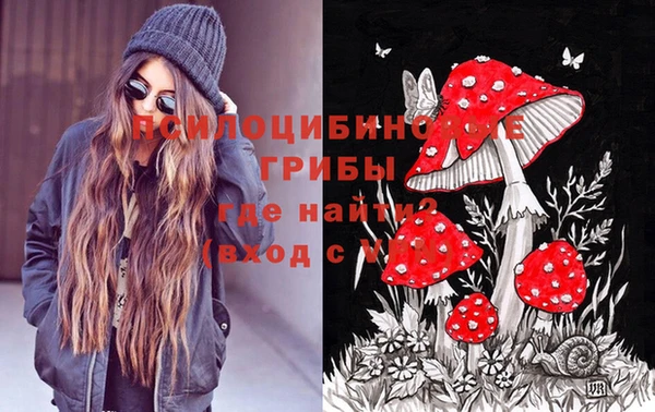 apvp Вязники
