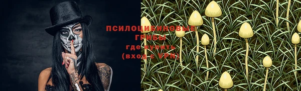 хмурый Вяземский